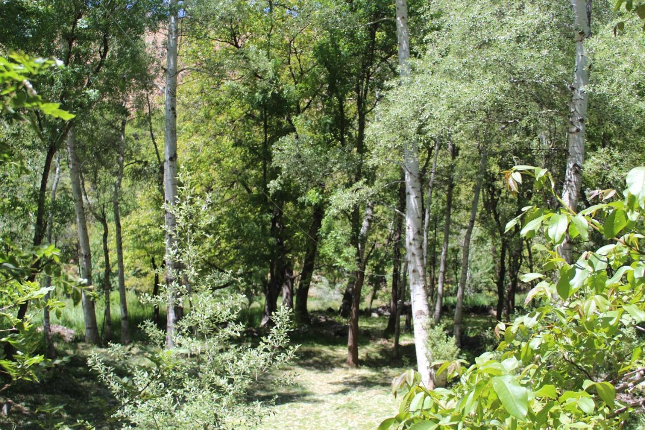 Auberge Toubkal Amsouzart Aitst Idar Tizgui Buitenkant foto